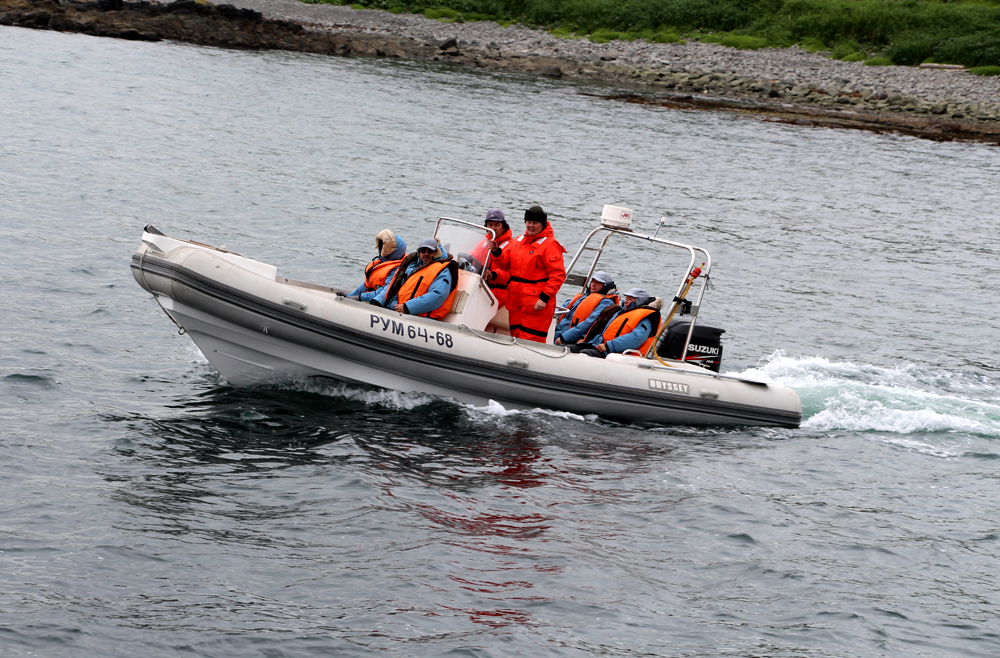 Познавательный туризм в заповеднике «Командорский» - встречи с китами и морскими котиками